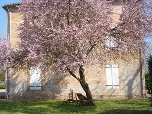 Le Platane Bed and Breakfast Lafrançaise Exteriör bild