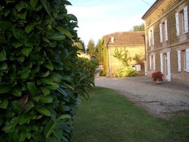 Le Platane Bed and Breakfast Lafrançaise Exteriör bild