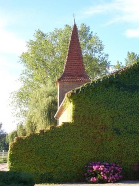 Le Platane Bed and Breakfast Lafrançaise Exteriör bild